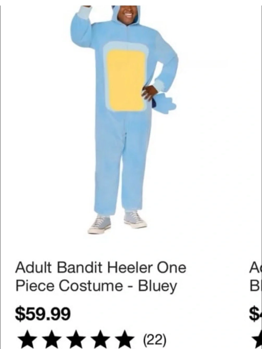 Adult Bandit costume